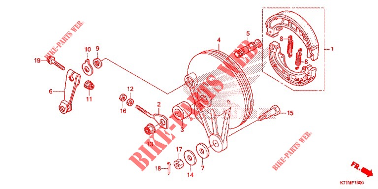 REAR BRAKE PANEL   SHOES for Honda WAVE 110 ALPHA, front disk, moulded wheels 2020