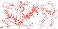 RADIATOR for Honda RS 150 R V4 2021
