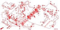 RADIATOR for Honda RS 150 R V4 2021