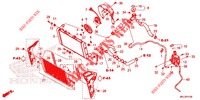 RADIATOR for Honda CB 1000 R ABS 2020