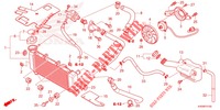 RADIATOR for Honda CBR 150 R 2021