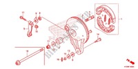 REAR BRAKE PANEL   SHOES for Honda FUTURE 125 Casted wheels, Rear brake drum 2012