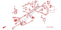 WIRE HARNESS/BATTERY for Honda EX5 DREAM 100, Kick start 2012