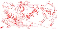 RADIATOR Frame 150 honda-motorcycle RS 2018 F_41