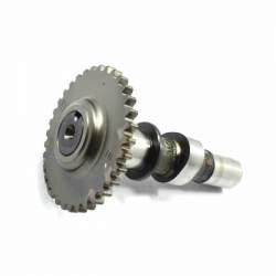 CAM SHAFT COMP,IN