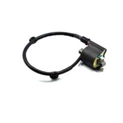 COIL ASSY., IGNITION