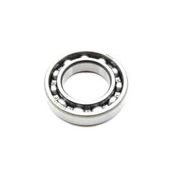 BRG,BALL RADIAL 6007