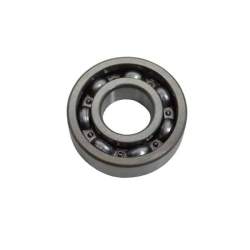 BRG,BALL RADIAL 6202