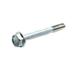 BOLT,FLANGE,6X55