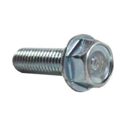 BOLT,FLANGE 8X25