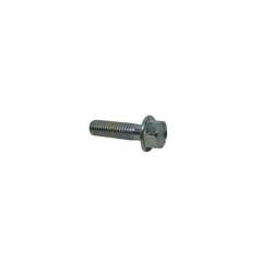 BOLT,FLANGE 8X28
