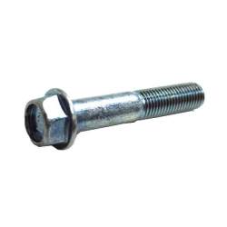 BOLT, FLANGE, 10X55